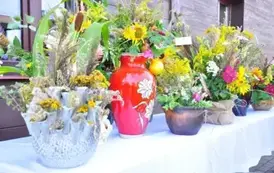 536198626_1184632617031174_8990928261876149096_n