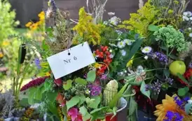 535995957_1184632280364541_4602414025551398856_n